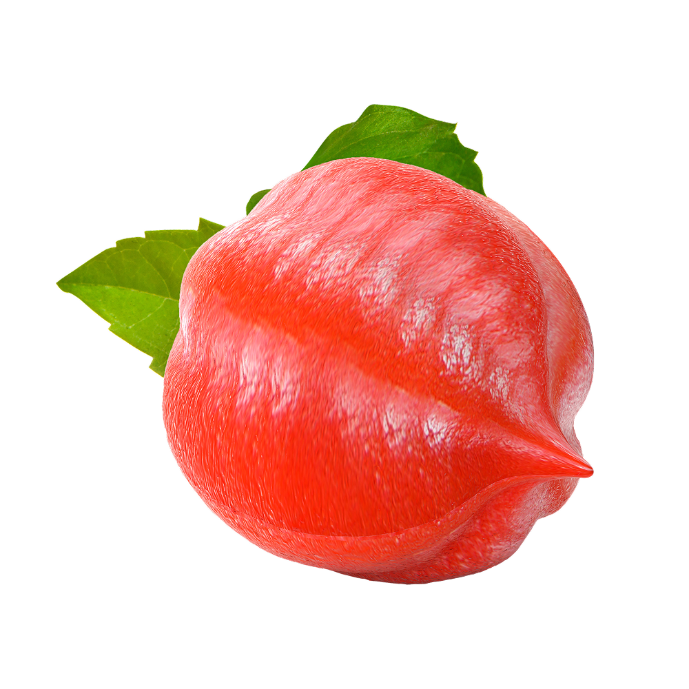 Guarana Extract